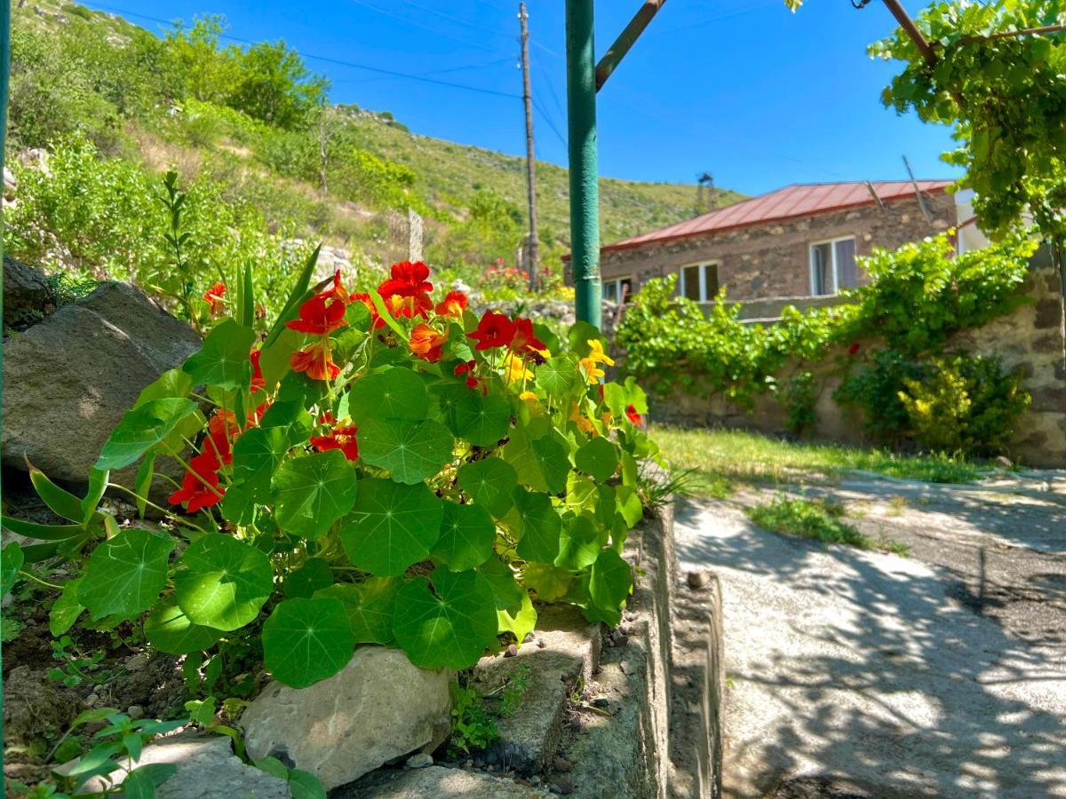 Igor Bed And Breakfast Halidzor Exteriör bild